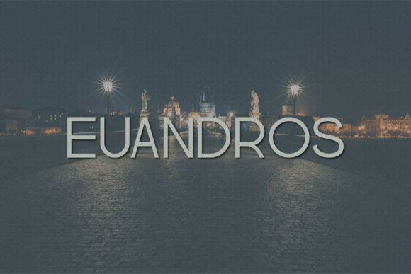 Euandros: A Polished Sans Serif Font for Small Business Branding