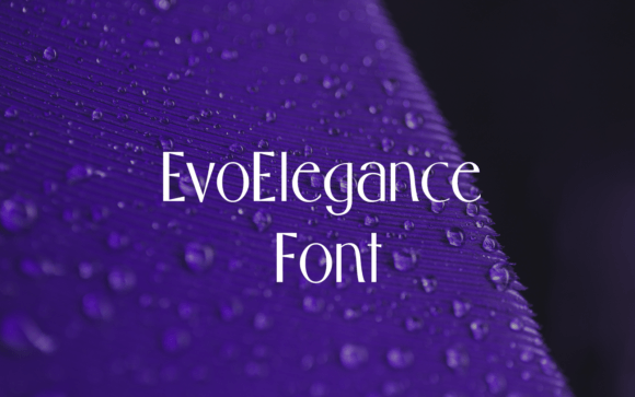 Evo Elegance: A Modern Sans Serif Font for Digital Design